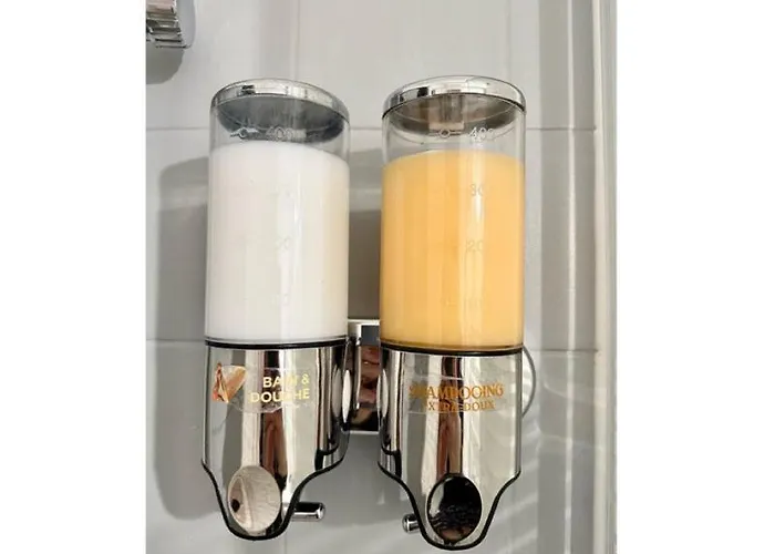 T2 Renove Avec Parking Gratuit Sur Place Daire